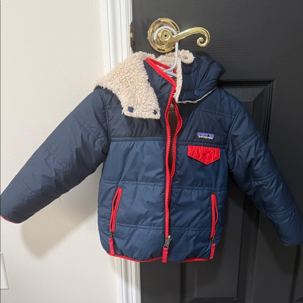 Patagonia Kids Puffer Jacket in Navy and Red